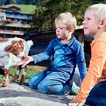 Ferien- Und Alpina Hotel