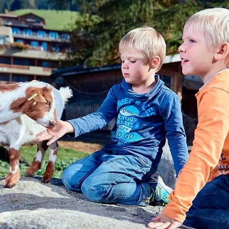 Ferien- Und Alpina מלון