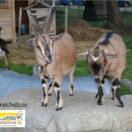 Ferien- Und Alpina Szálloda