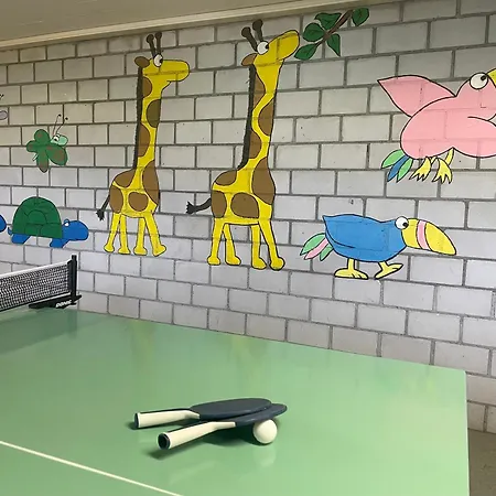 מלון Ferien- Und Alpina 3*