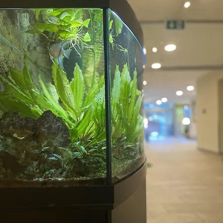 Ferien- Und Alpina Ξενοδοχείο