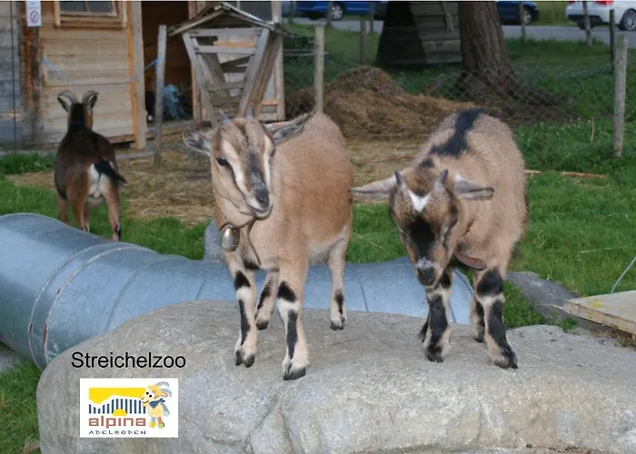 Ferien- Und Alpina Hotel