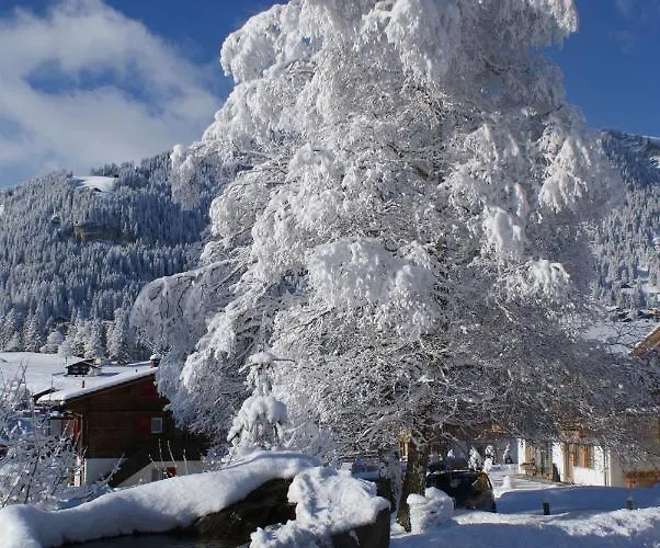 Hotel Ferien- Und Alpina Adelboden