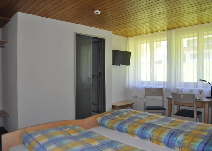 Ferien- Und Alpina Hotel