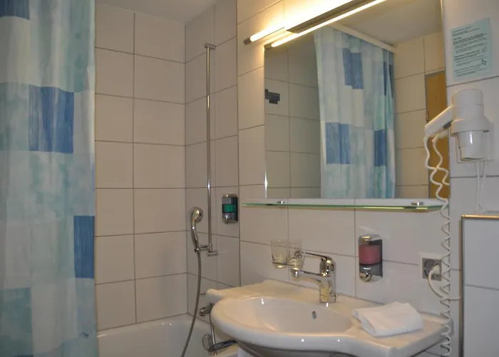 Ferien- Und Alpina 3* Adelboden