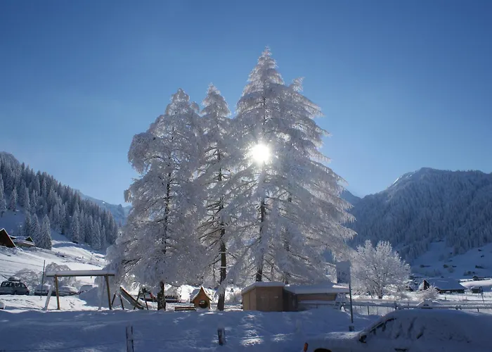 Ferien- Und Alpina Adelboden