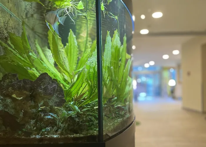 Ferien- Und Alpina Hotel