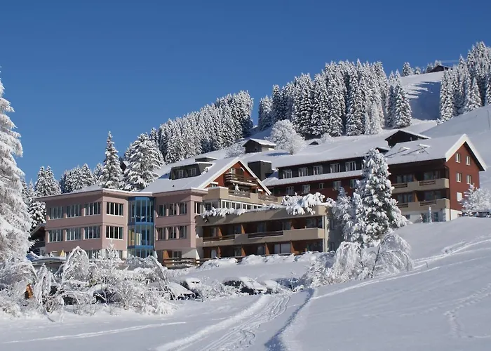 Ferien- Und Alpina Adelboden
