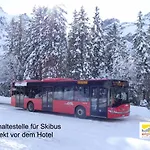 Ferien- Und Alpina Otel 3*