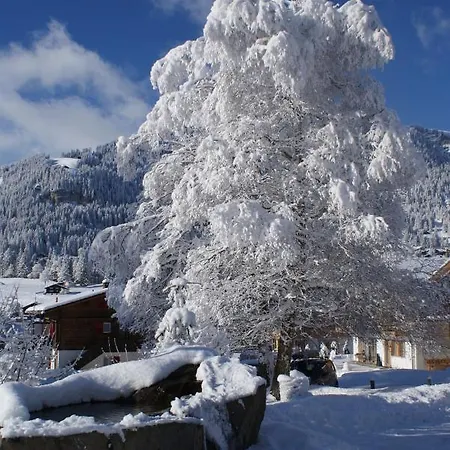 Hotel Ferien- Und Alpina Adelboden