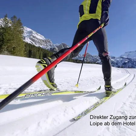 Ferien- Und Familienhotel Alpina Hotell 3*