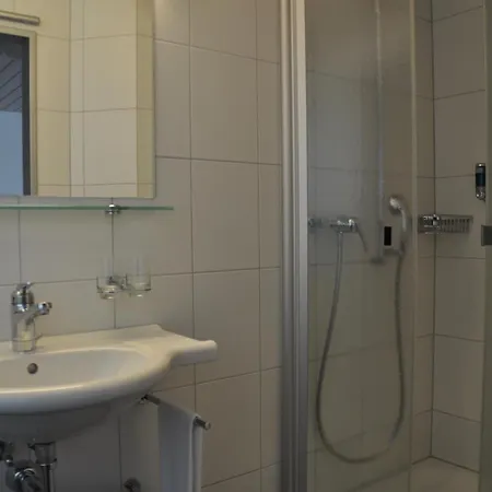 Hotell Ferien- Und Familienhotel Alpina Adelboden