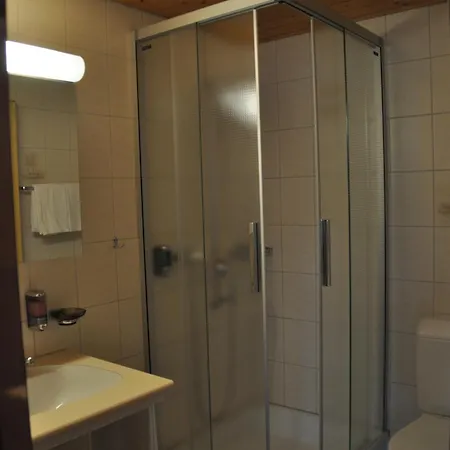 Hotel Ferien- Und Alpina Adelboden