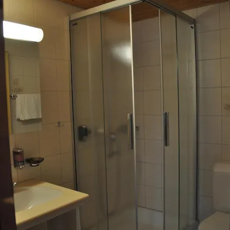 Hotell Ferien- Und Familienhotel Alpina Adelboden