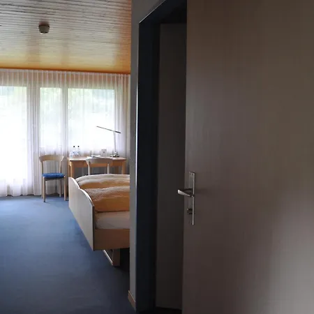 Hotel Ferien- Und Alpina Adelboden