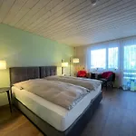 Ferien- Und Alpina 3*